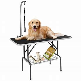 Pet Grooming Table