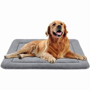 Anti-Slip Pet Mat